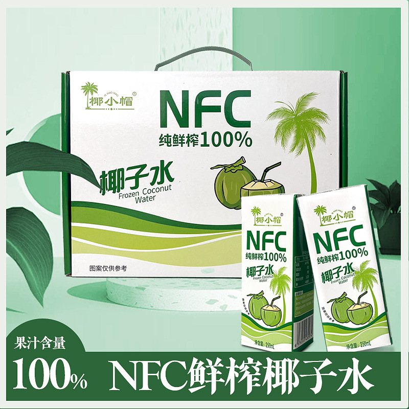 椰小帽椰子水